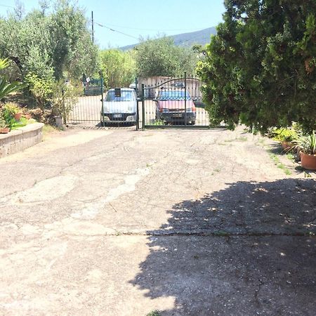 Casa Vacanze La Tuia Castellabate Zewnętrze zdjęcie