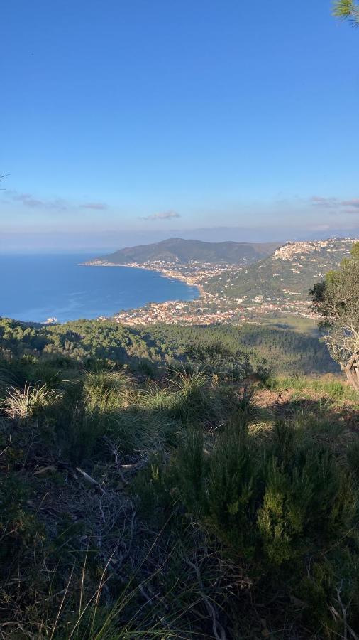 Casa Vacanze La Tuia Castellabate Zewnętrze zdjęcie